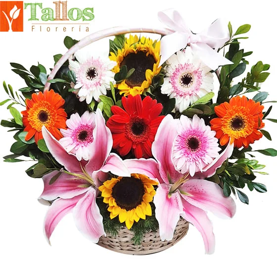 canasta de gerberas con girasoles y lirios para regalo con entrega en Lima