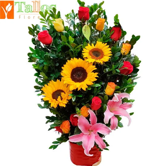 colorido de girasoles para regalo especial delivery de flores en Lima