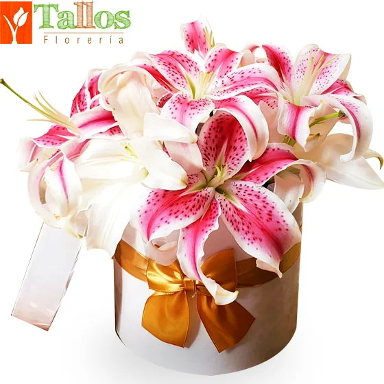 ramo floral de lirios rosados y blancos para regalo elegante delivery de flores en Lima